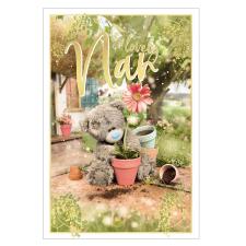 Lovely Nan Photo Finish Me to You Bear Mother's Day Card Image Preview
